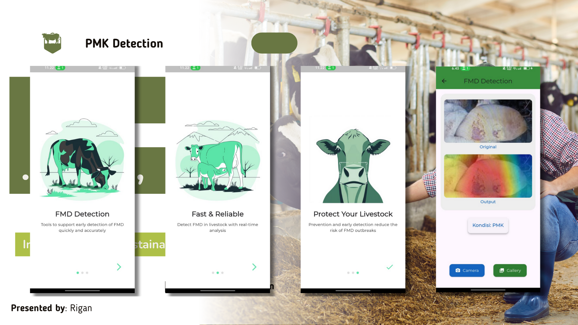 FMD Disease Classification with Grad-CAM